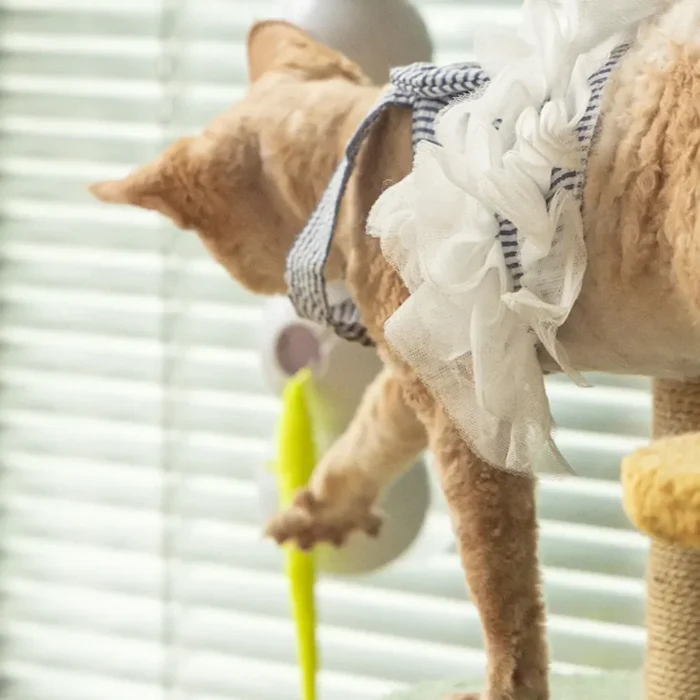 Intelligent Interactive Cat Stick Pro with Replaceable Prey Tail Suitable for Automatic Swing Durability In Multi Cat Households - Image 5